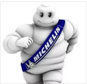 Michelin завершила расширение завода Tigar